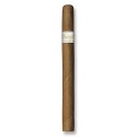 Cygaro DAVIDOFF SIGNATURE AMMBASSADRICE (1)